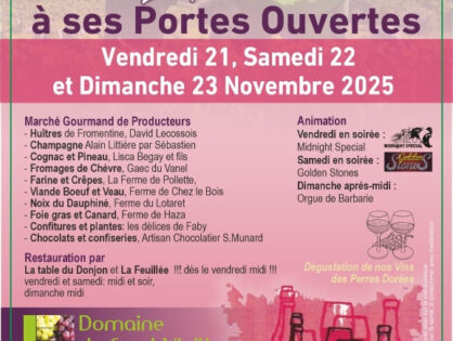 Fête du beaujolais nouveau 2025